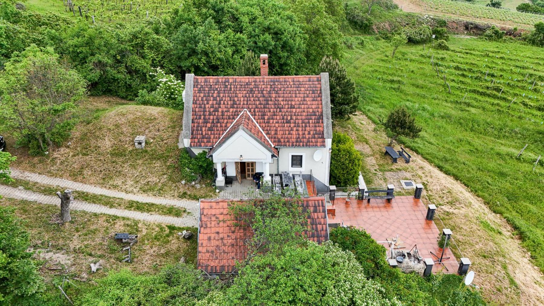 Borospince Vendeghaz Villa Pecsely Exterior photo